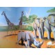 AFRIKA